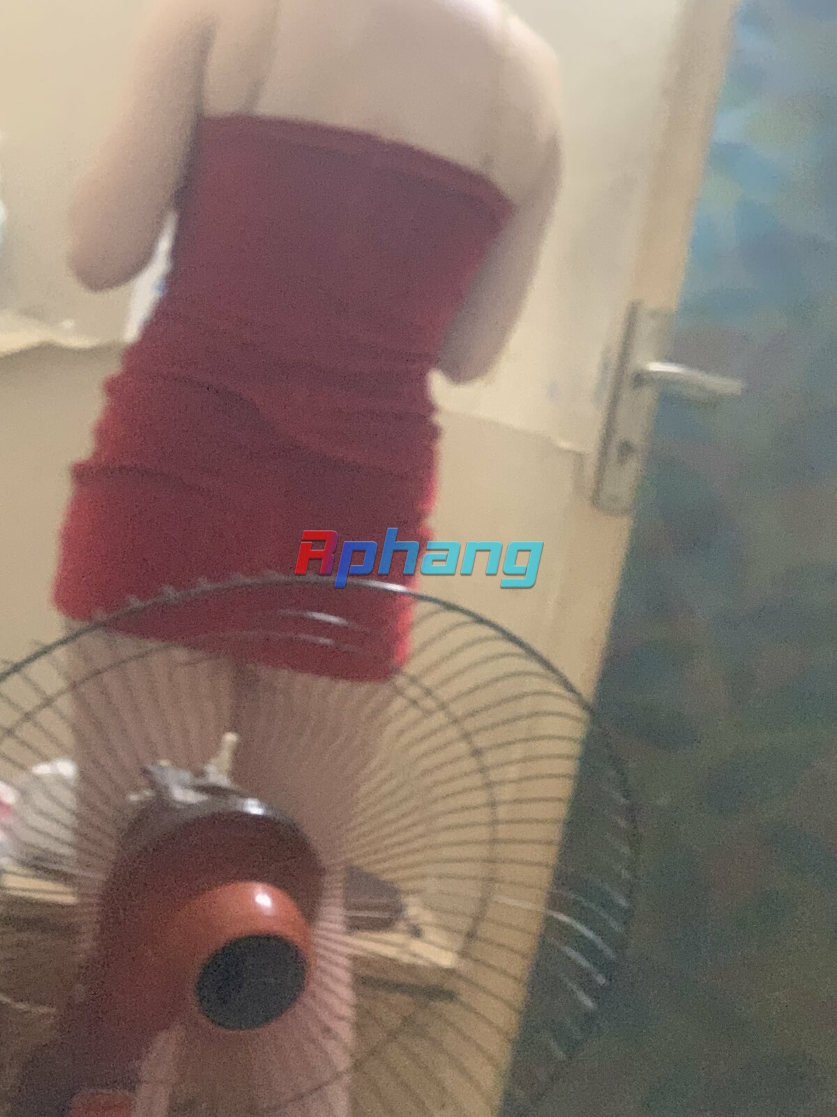 IMG_1384.jpeg