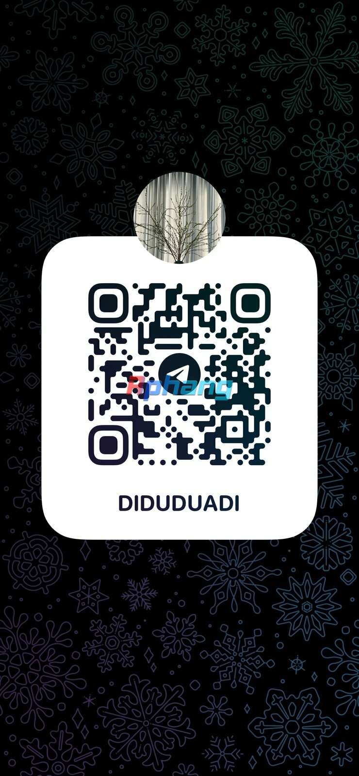 1713369763464.jpeg