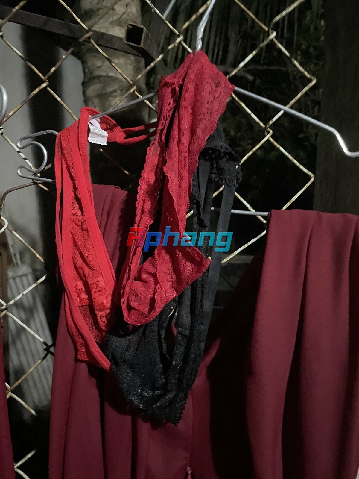 BD769163-6D00-4D8F-AC8A-CF62AA2AA999.jpeg