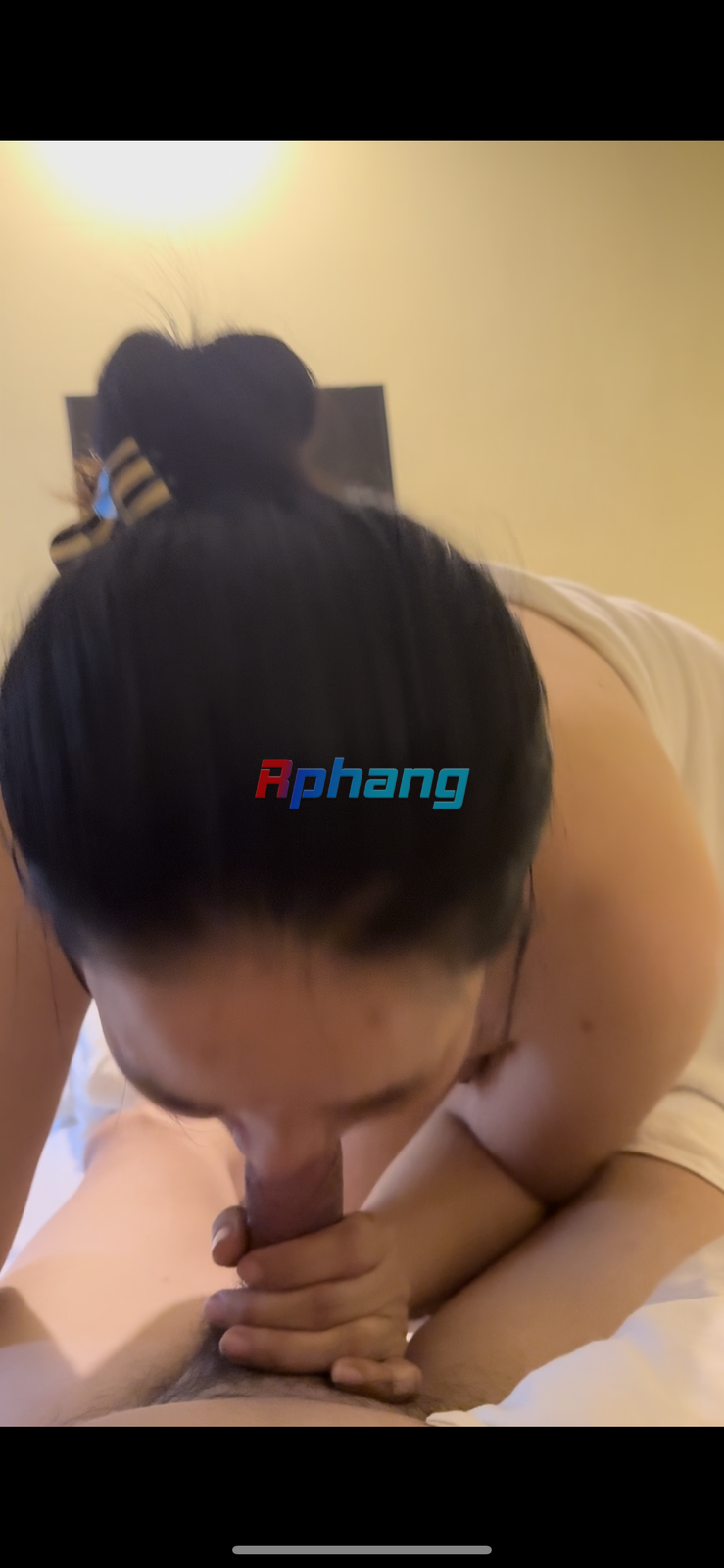 IMG_0137.png