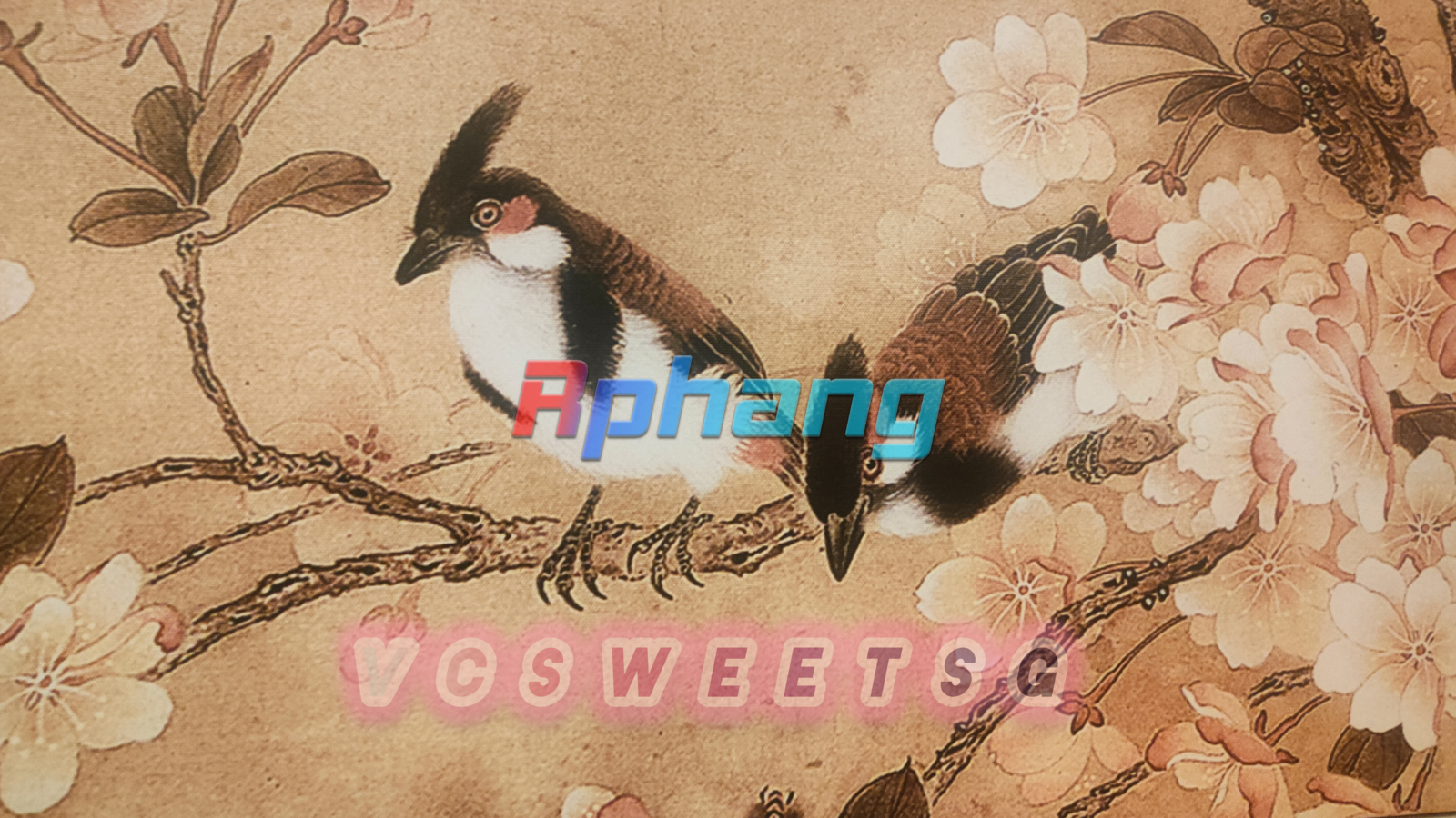 InShot_20240426_004149271.png