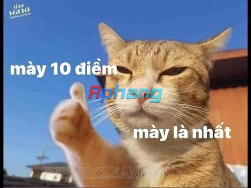 do-pho-bien-cua-ban-la-nhat.jpg