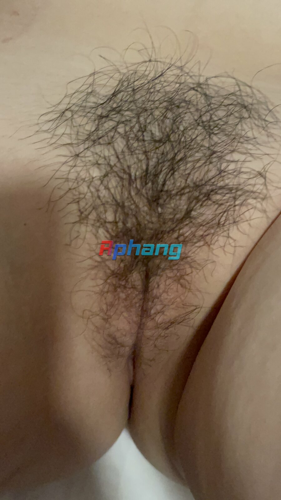 IMG_4900.jpeg