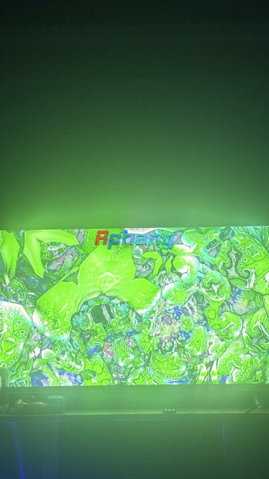 IMG_0552.jpeg