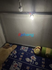 z5522587991830_14a3fcb6041a253e3a2ca810828e8a34.jpg