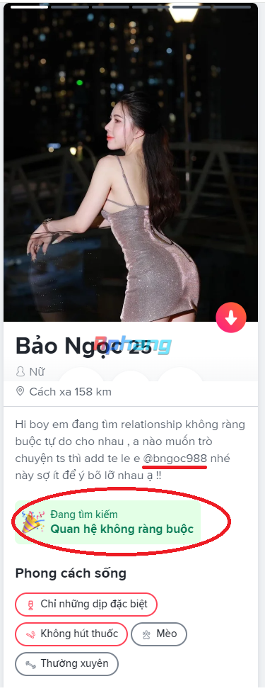 33a.png