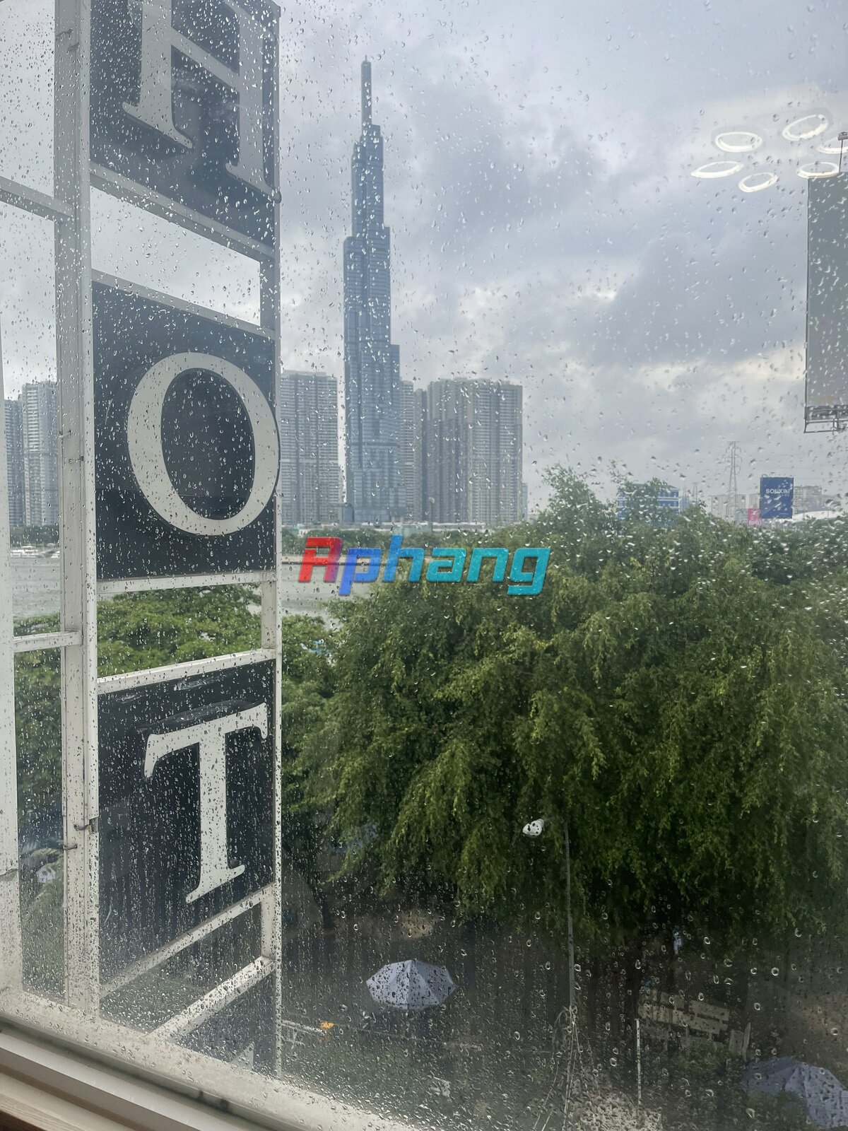 IMG_0708.jpeg