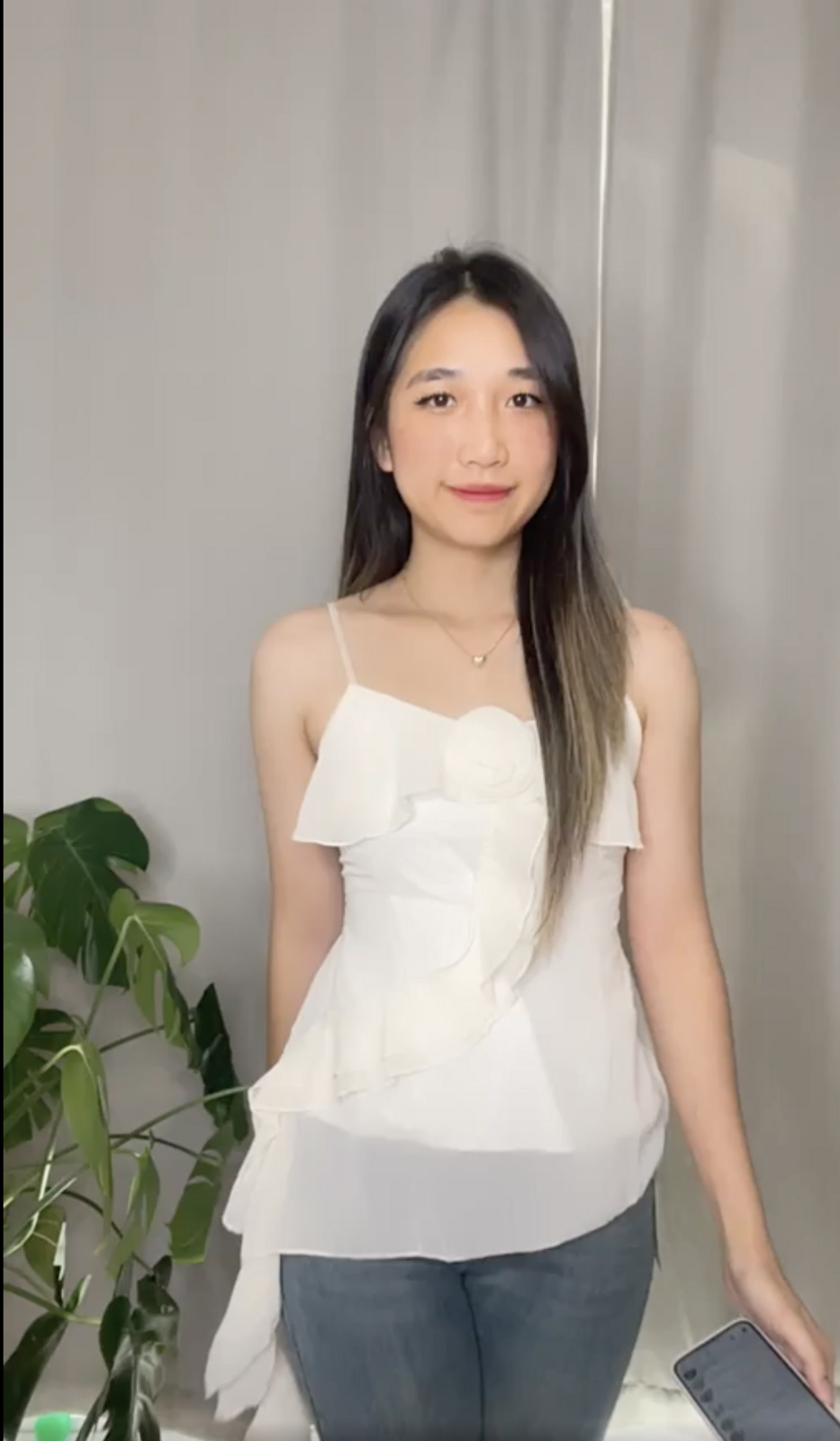 a1.png