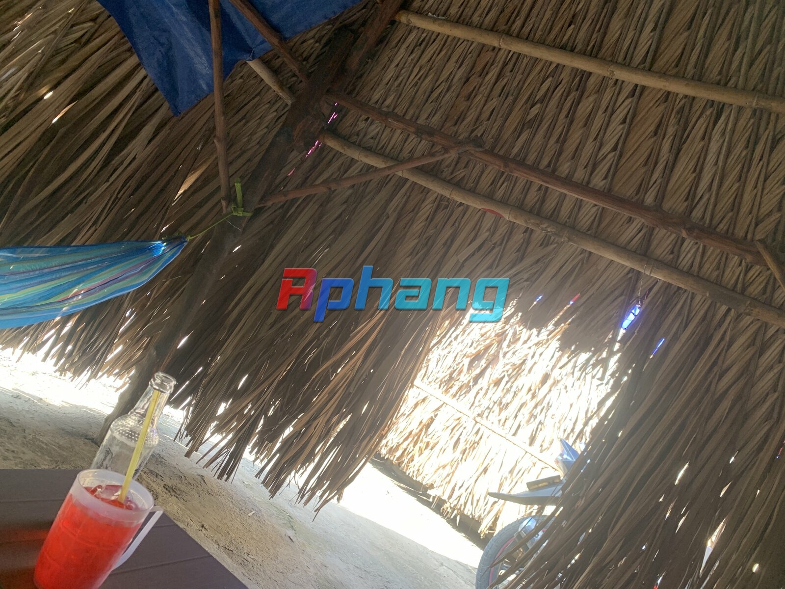 IMG_4548.jpeg