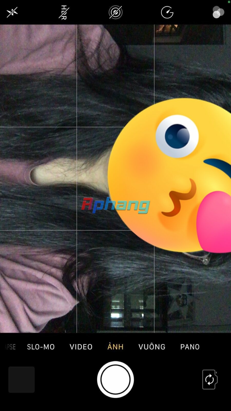 IMG_2078.jpeg