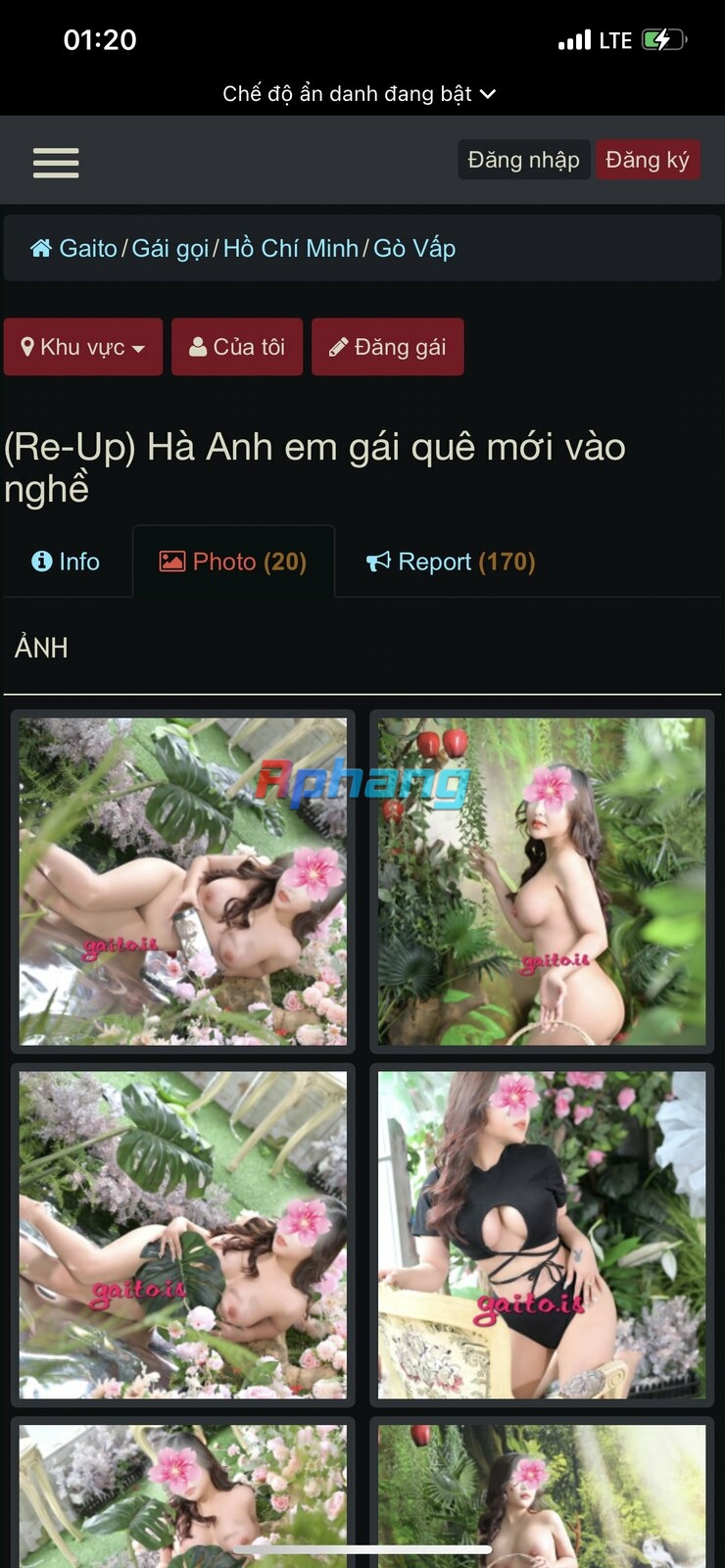 pt2.jpg