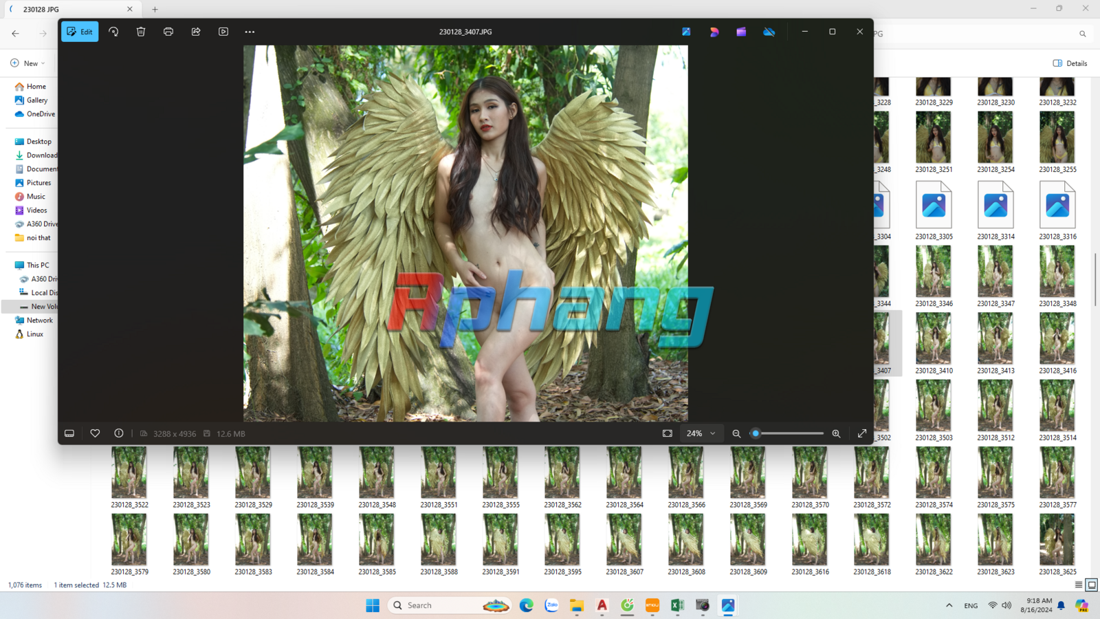 Screenshot 2024-08-16 091858.png