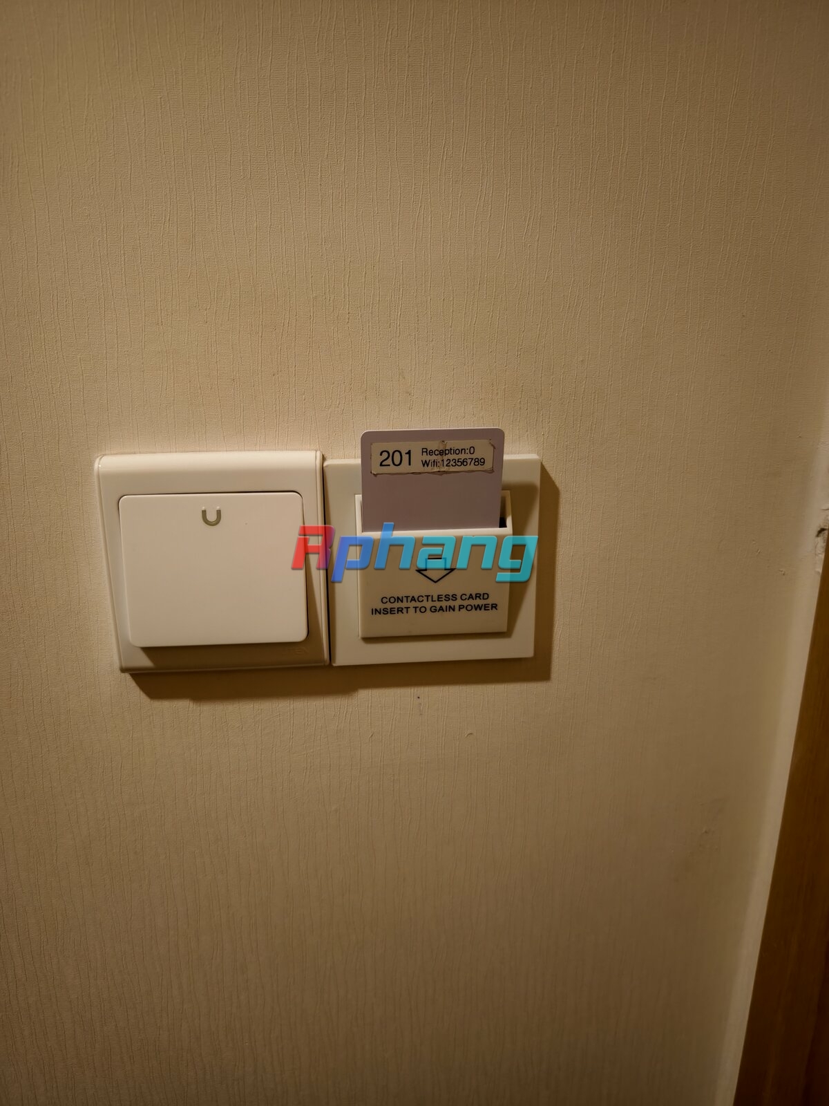1000004828.jpg