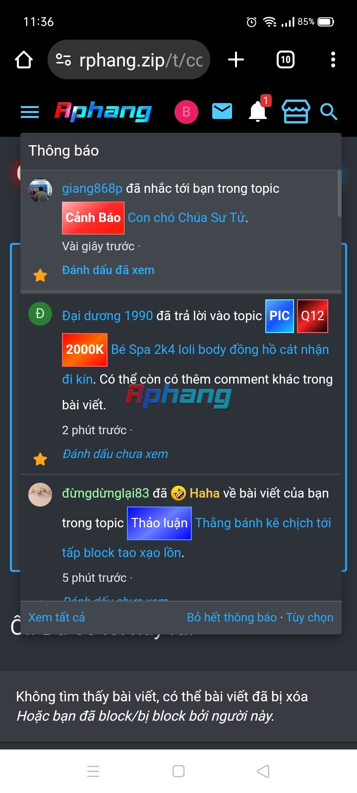 Screenshot_2024-09-12-11-36-42-73.jpg