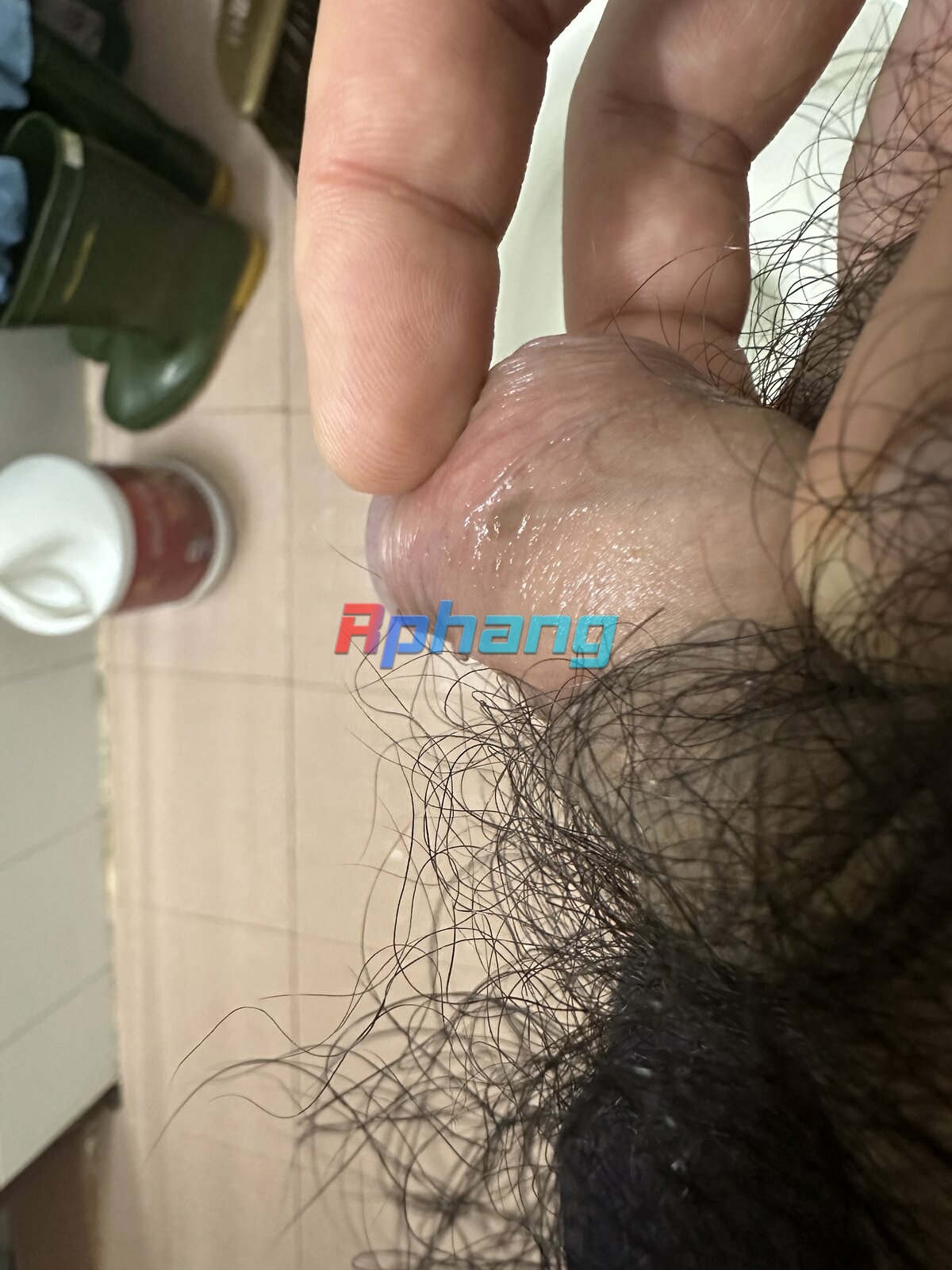IMG_5354.jpeg