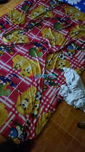 20240917_160521.jpg