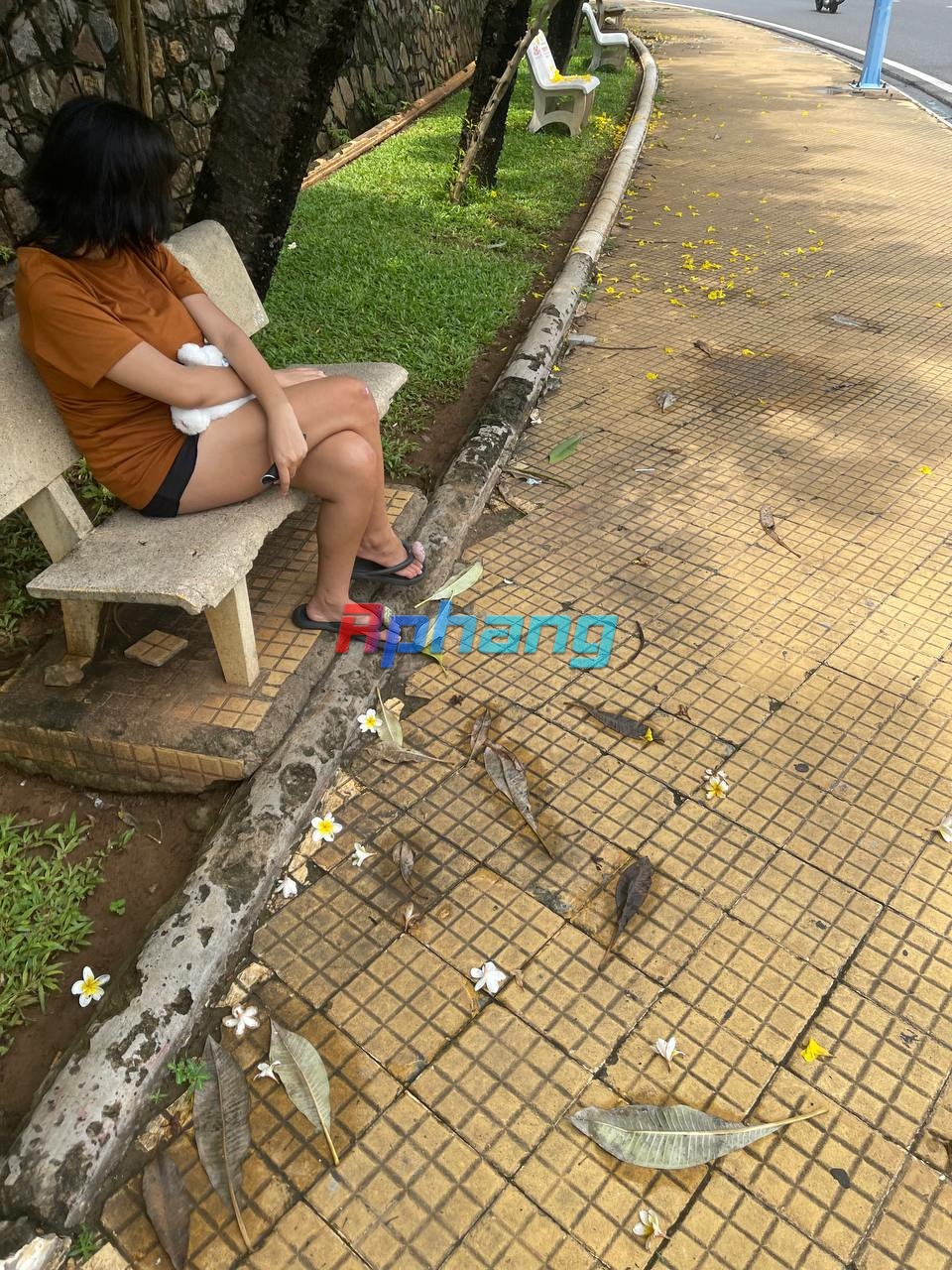 IMG_7049.jpeg