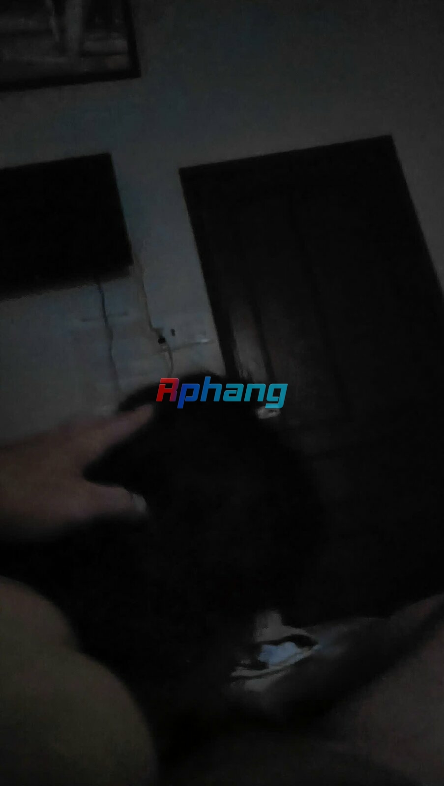 IMG_2817.jpeg