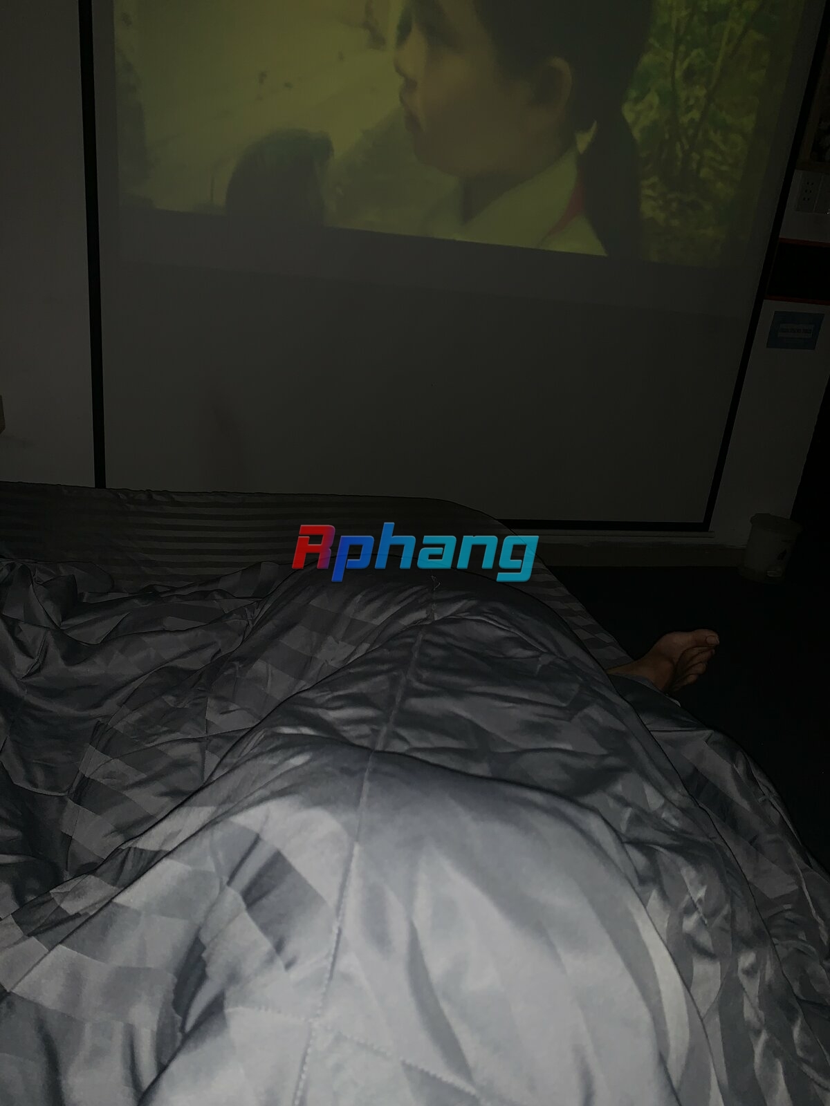 IMG_8081.jpeg