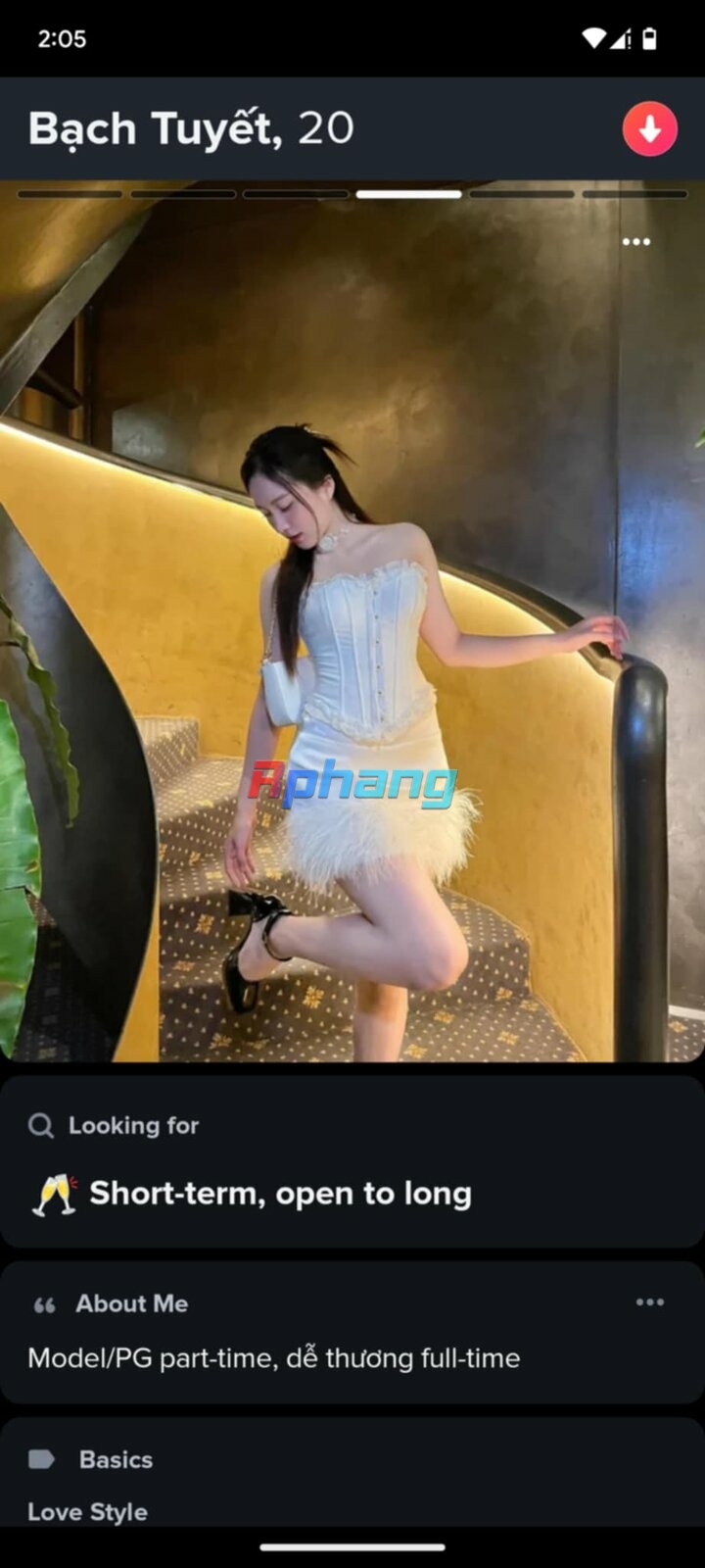 003.jpg