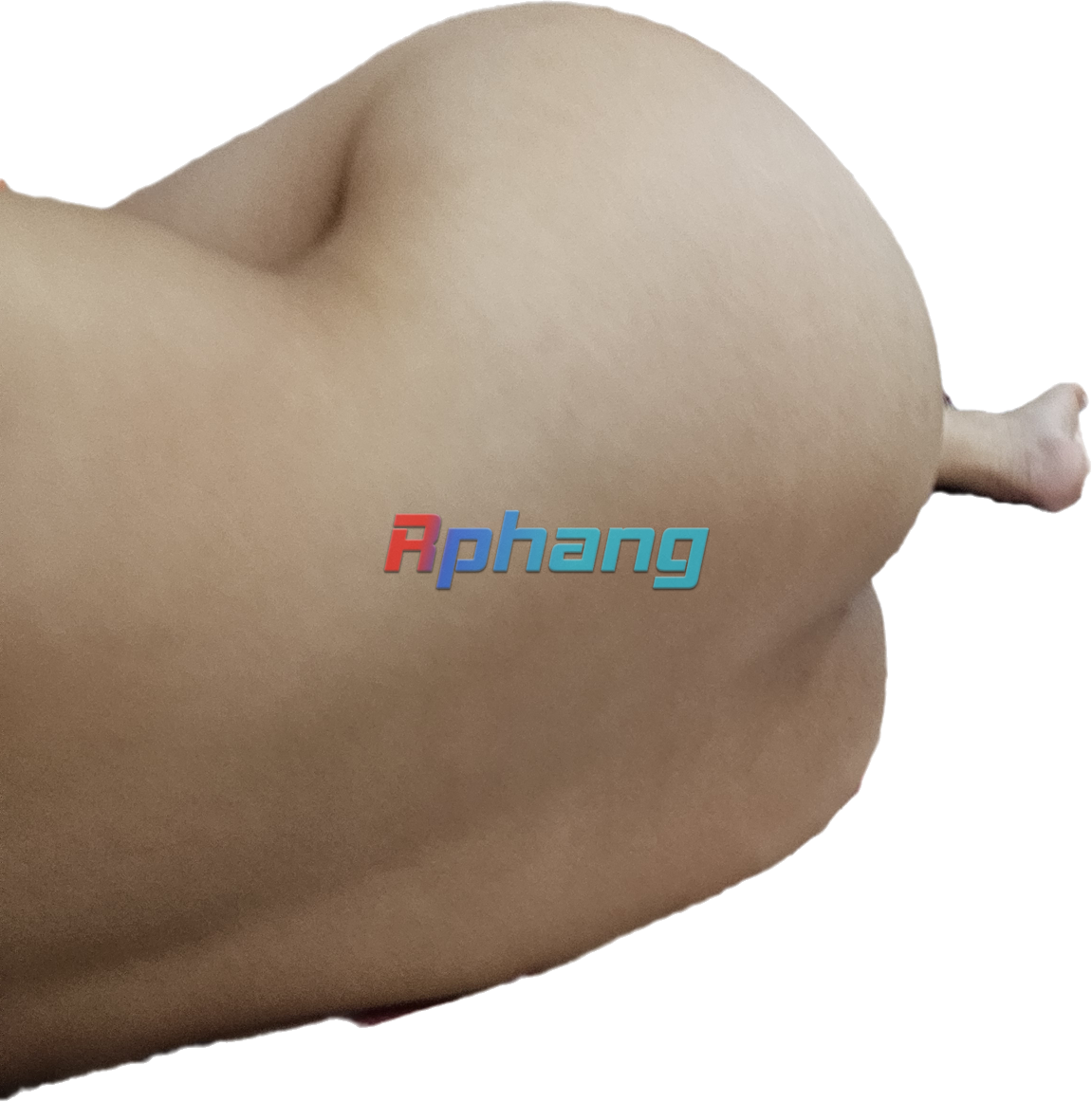 1000007402.png