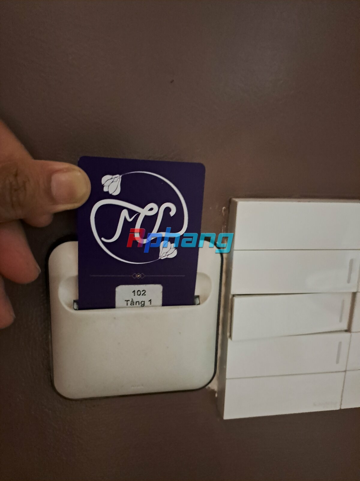 1000007489.jpg