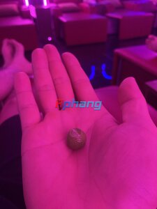 IMG_6297.jpeg