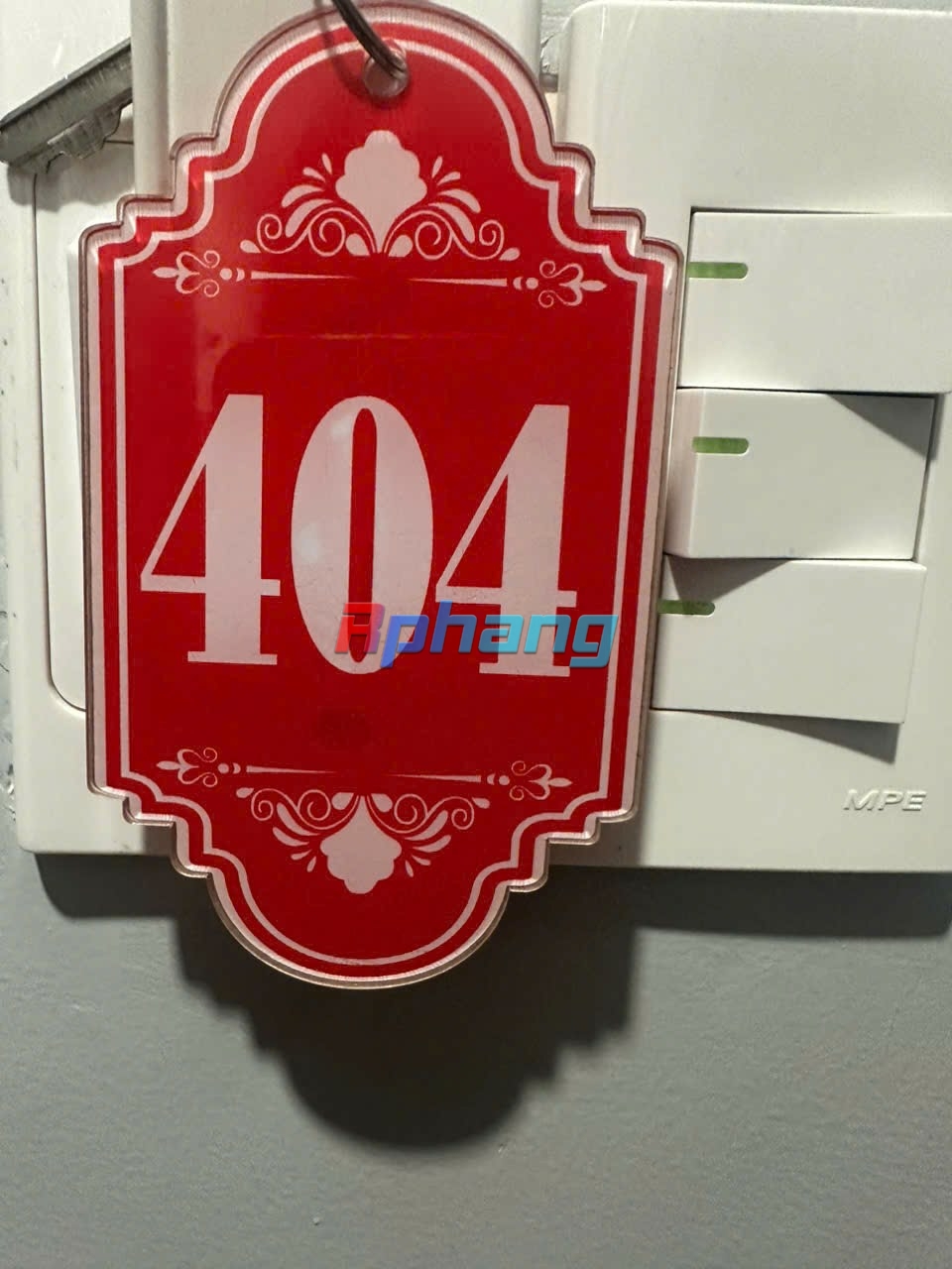 1000067775.jpg