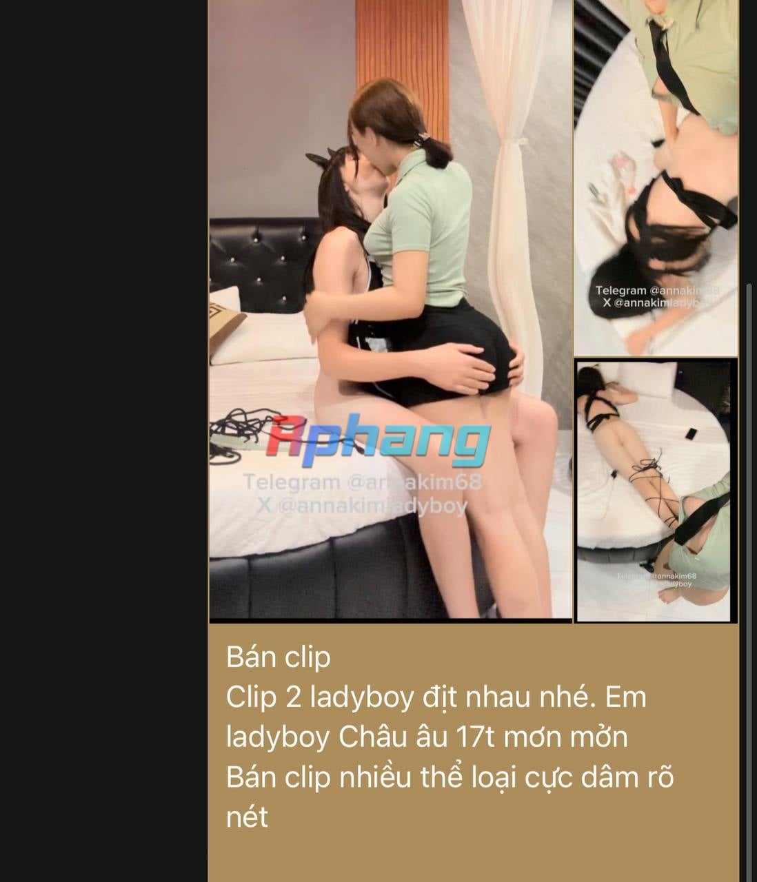 1000016240.jpg