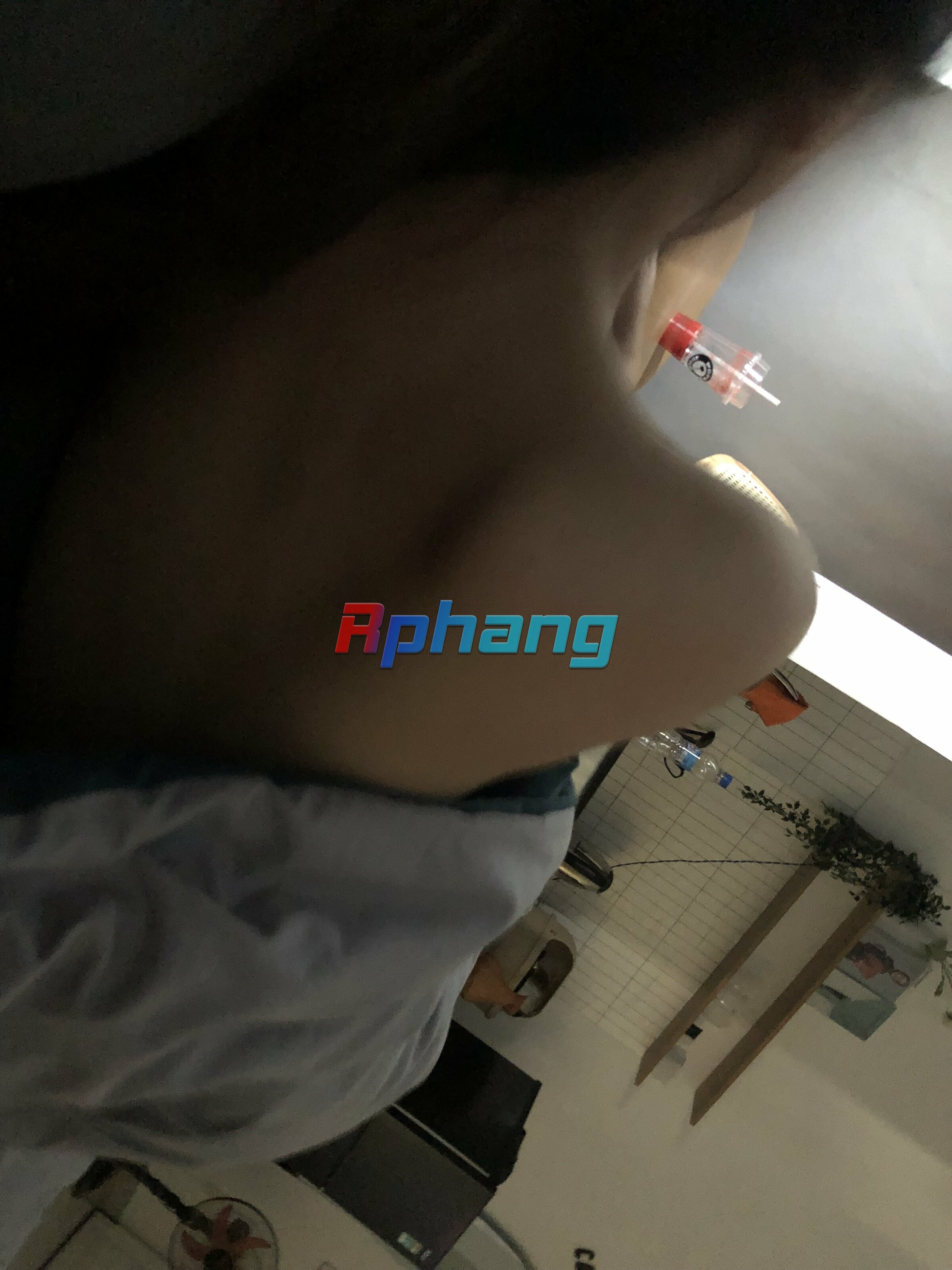 IMG_2324.jpeg