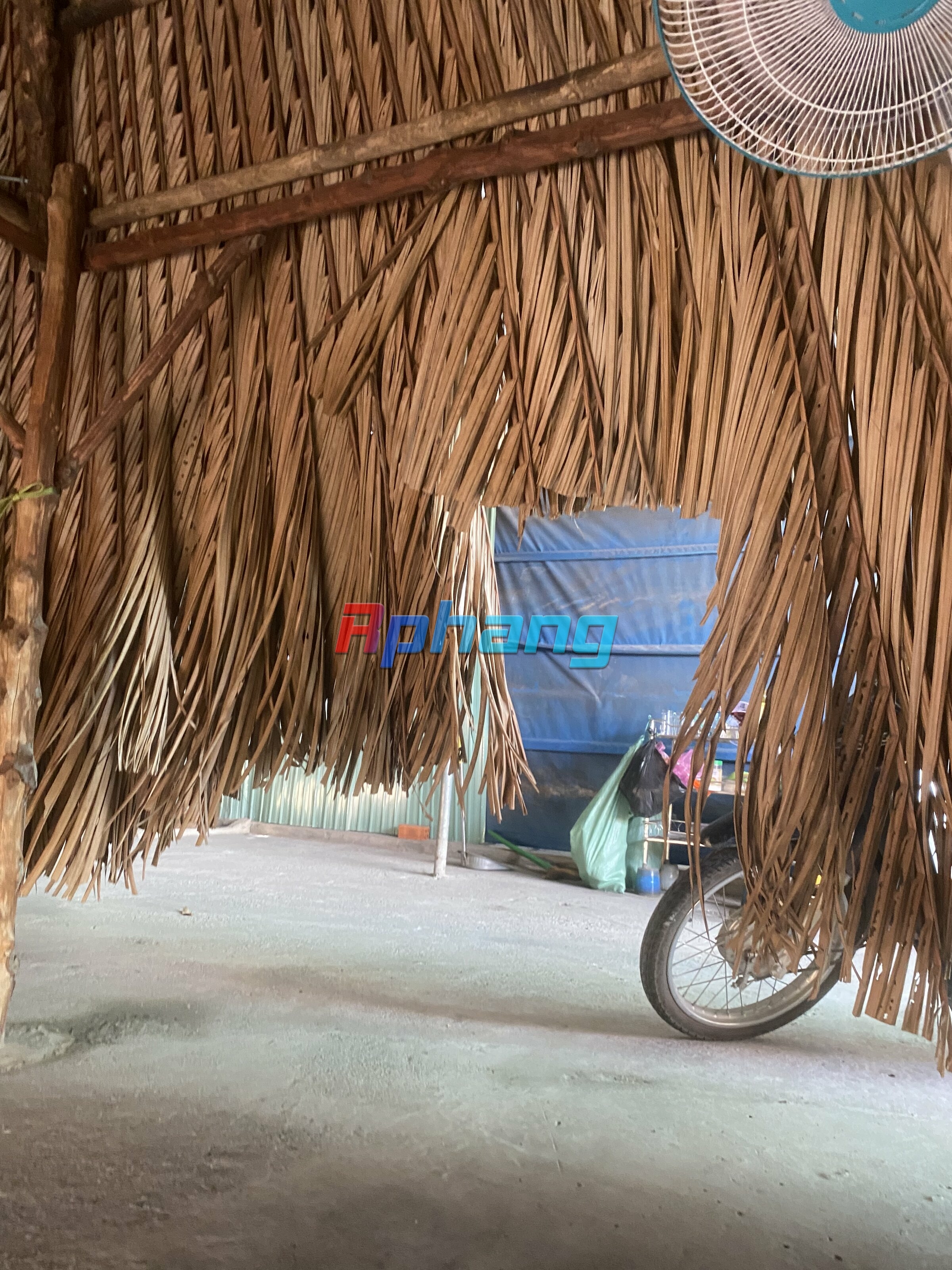 B96371BE-5CCB-45A8-9F24-6E0977615791.jpeg