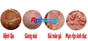 1743352256540.png