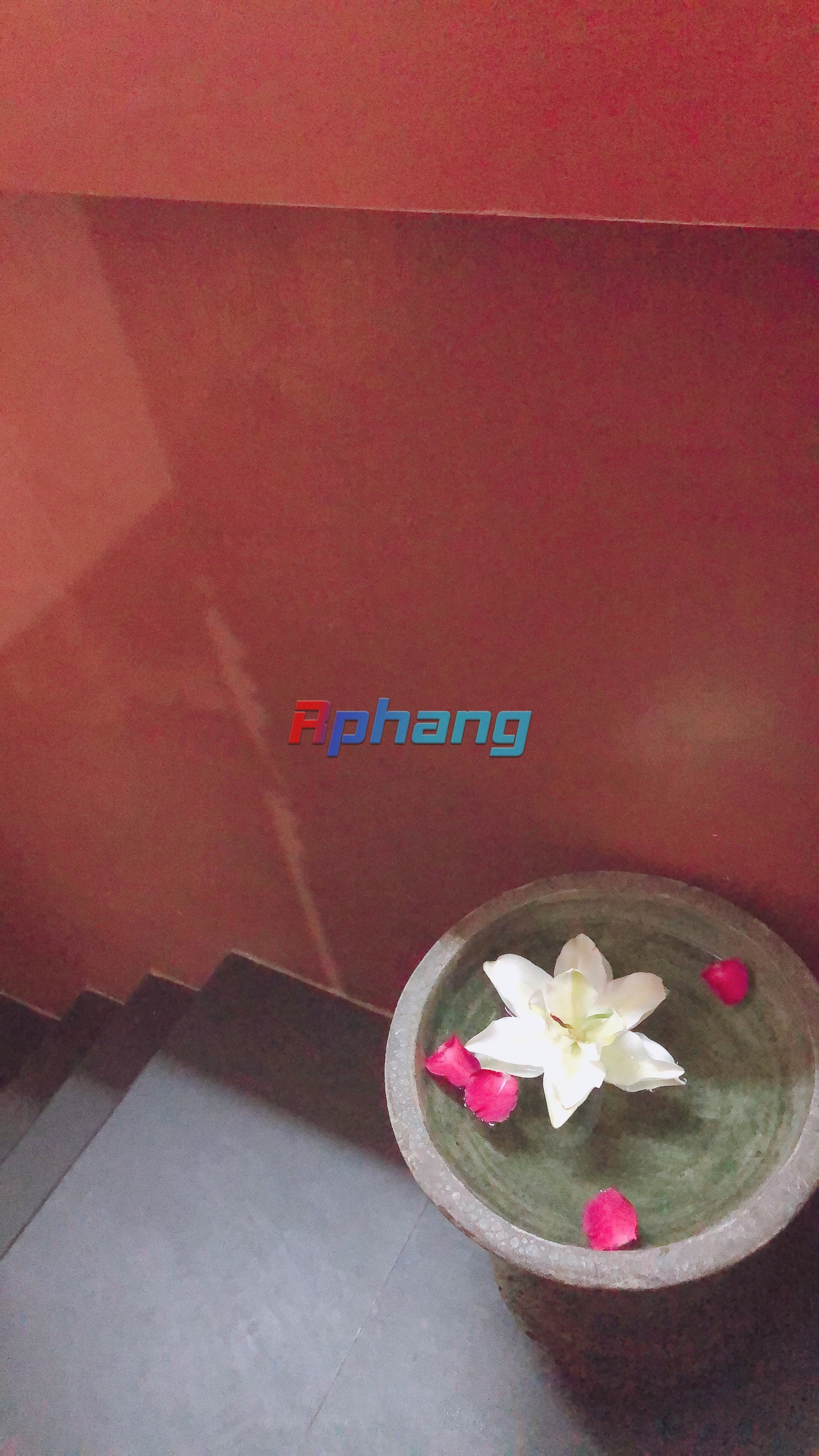 IMG_1996.jpeg