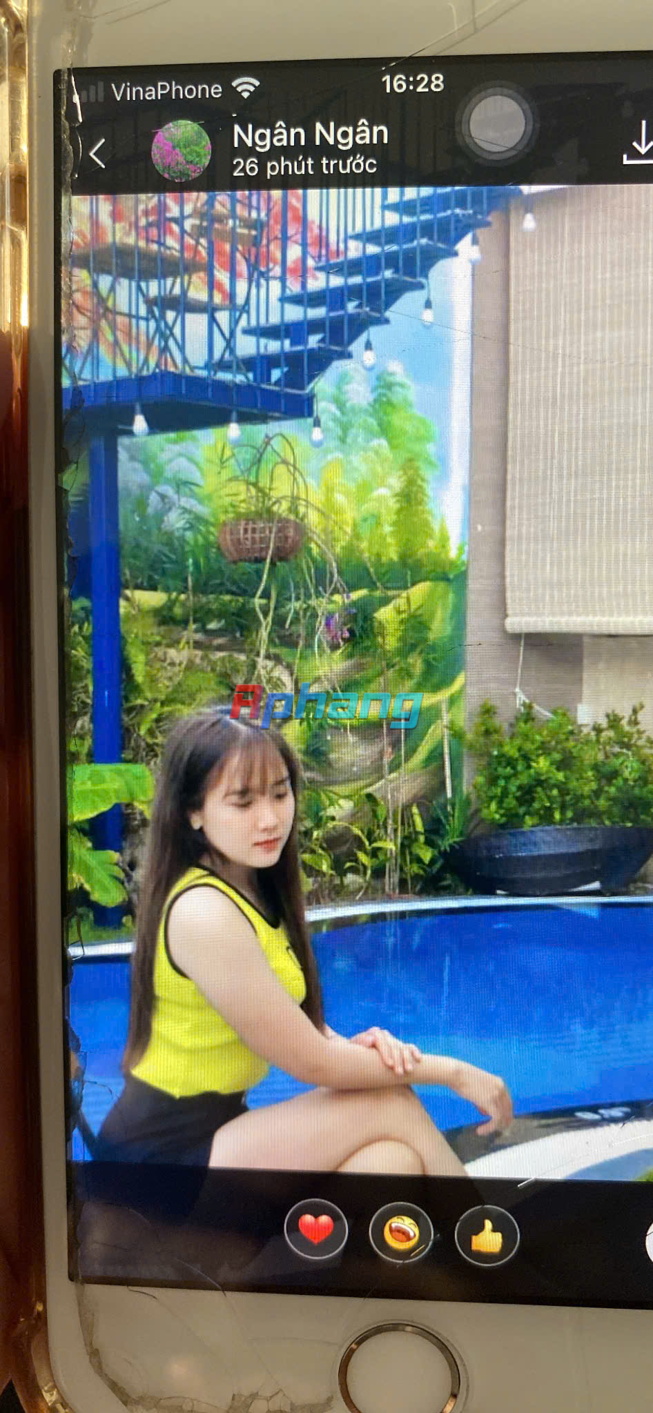 z6483685867576_a814b15dbe317b5a07c0ab61dbd12796.jpg