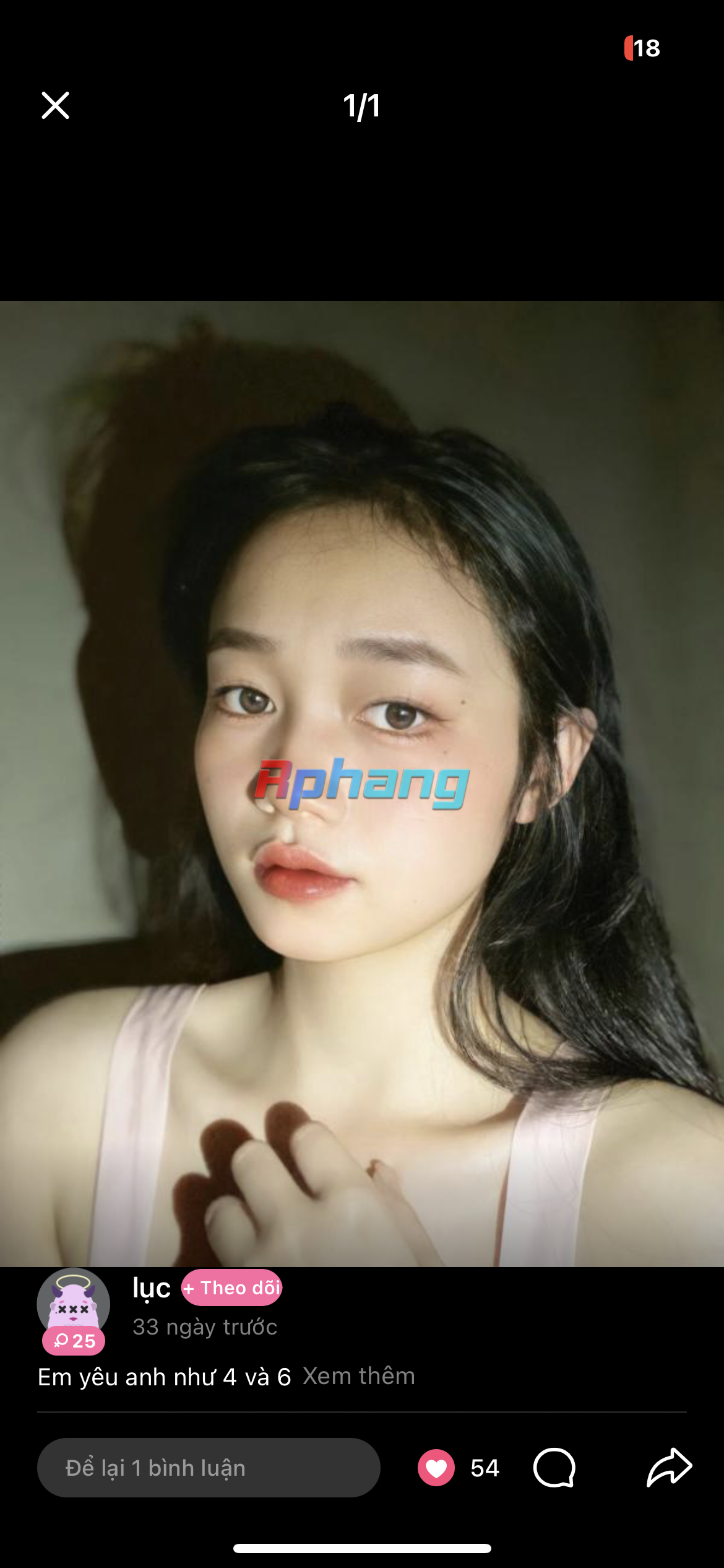IMG_8516.PNG
