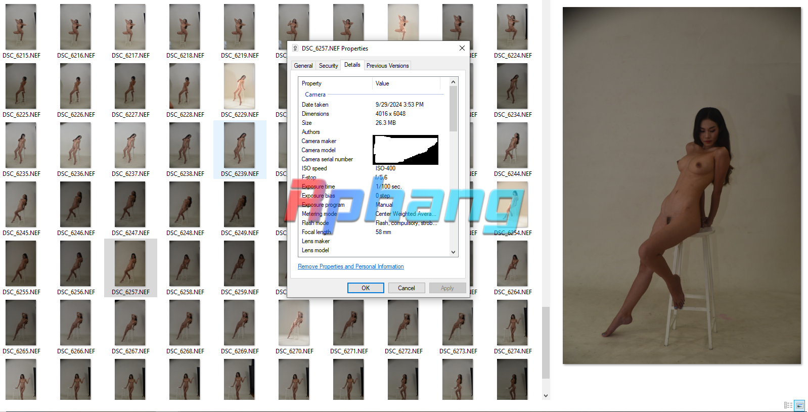 1745056454760.png