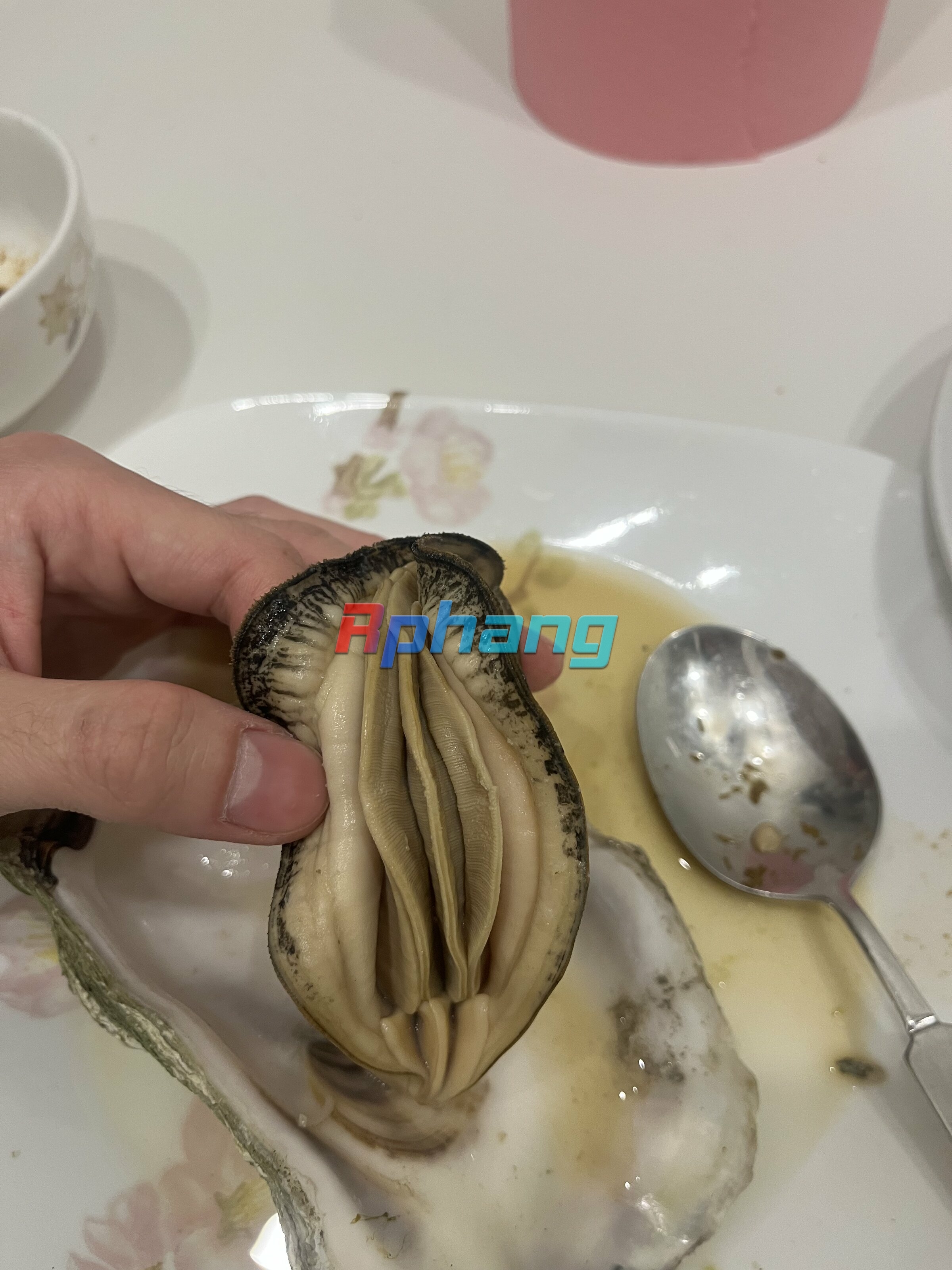 IMG_1684.jpeg