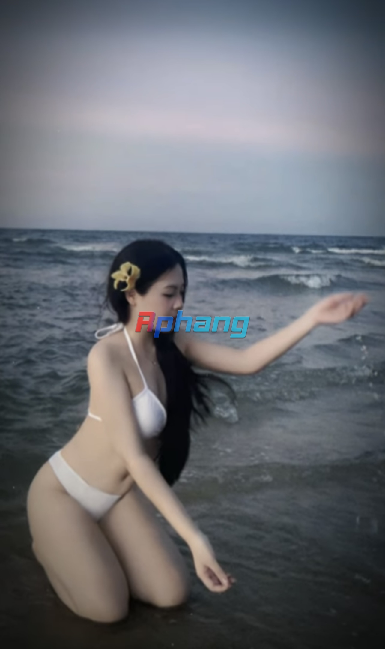 IMG_1595.jpeg