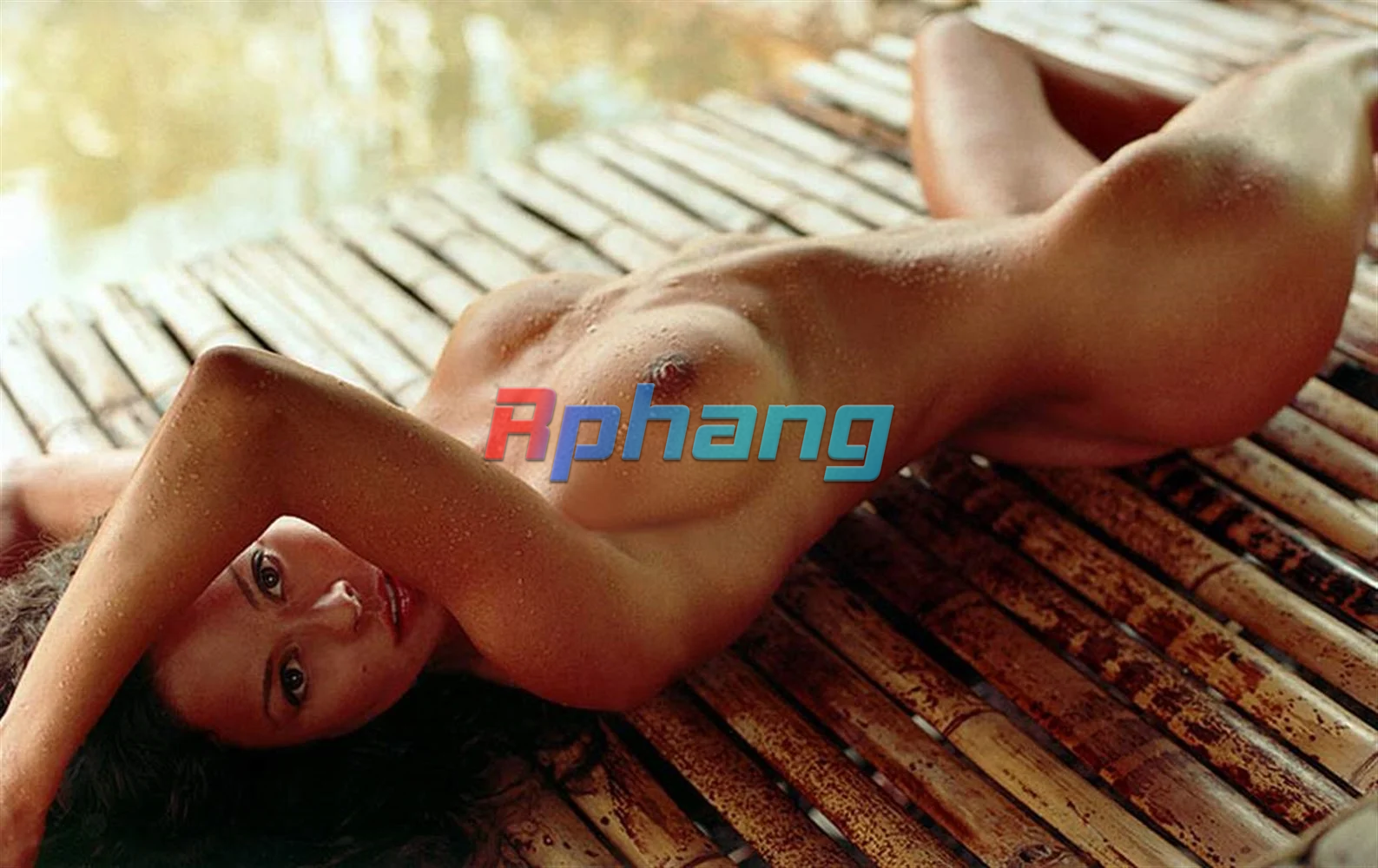 IMG_1219.png