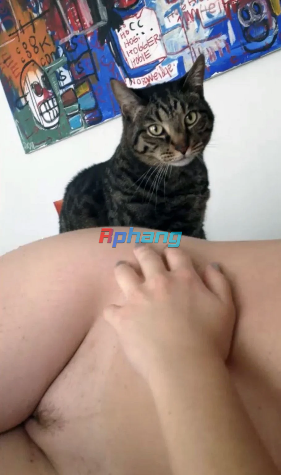IMG_1324.png