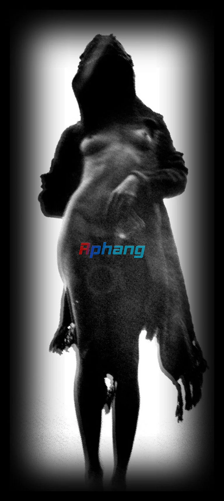 IMG_1379.png