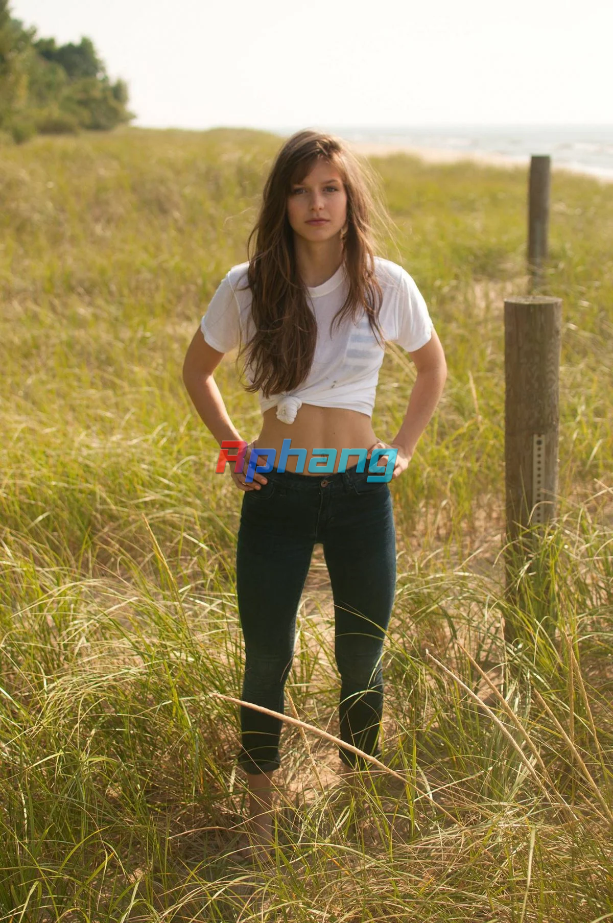 IMG_1386.png