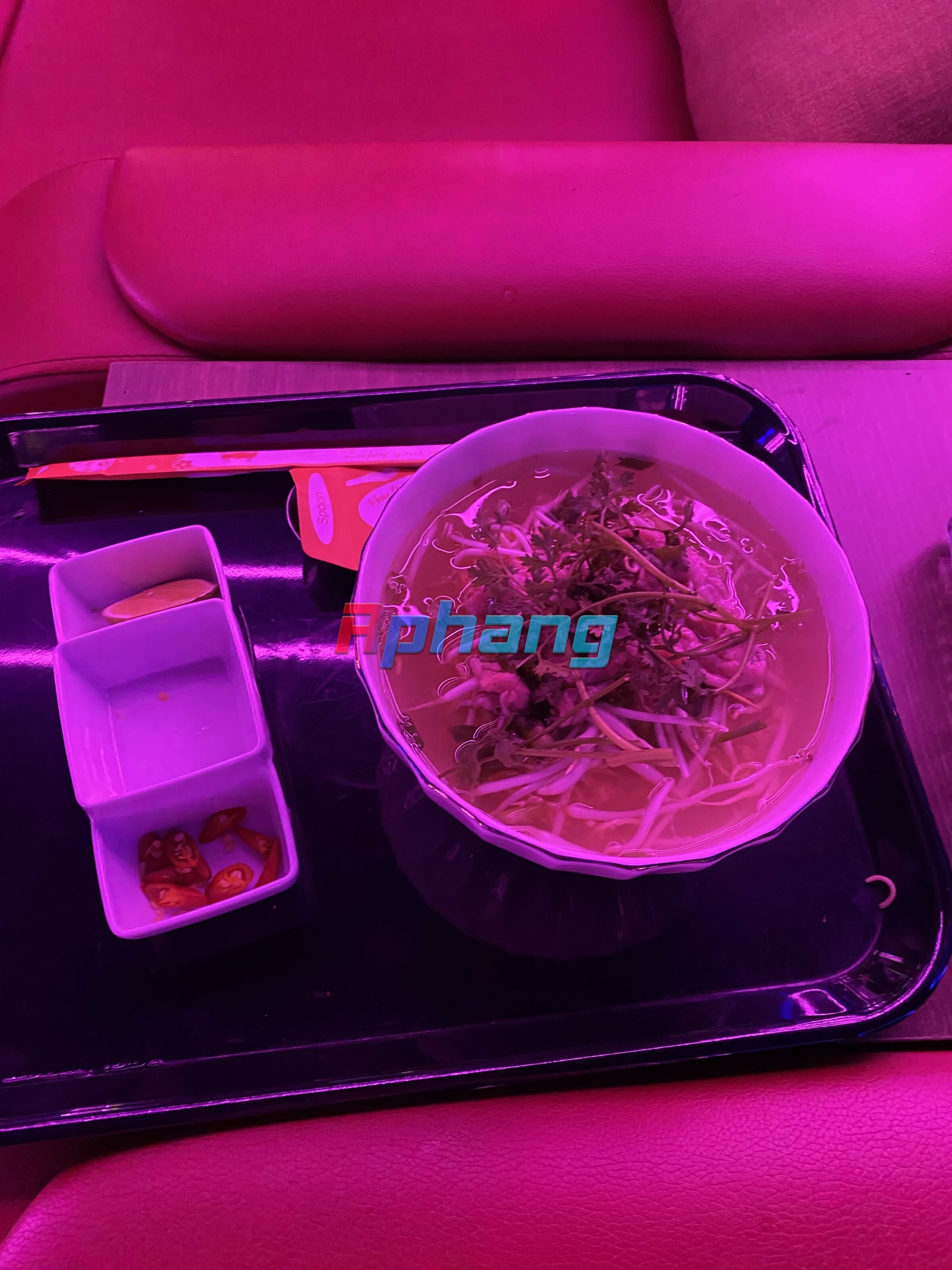 IMG_0187.jpeg