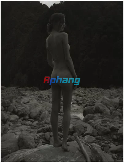 IMG_2211.png