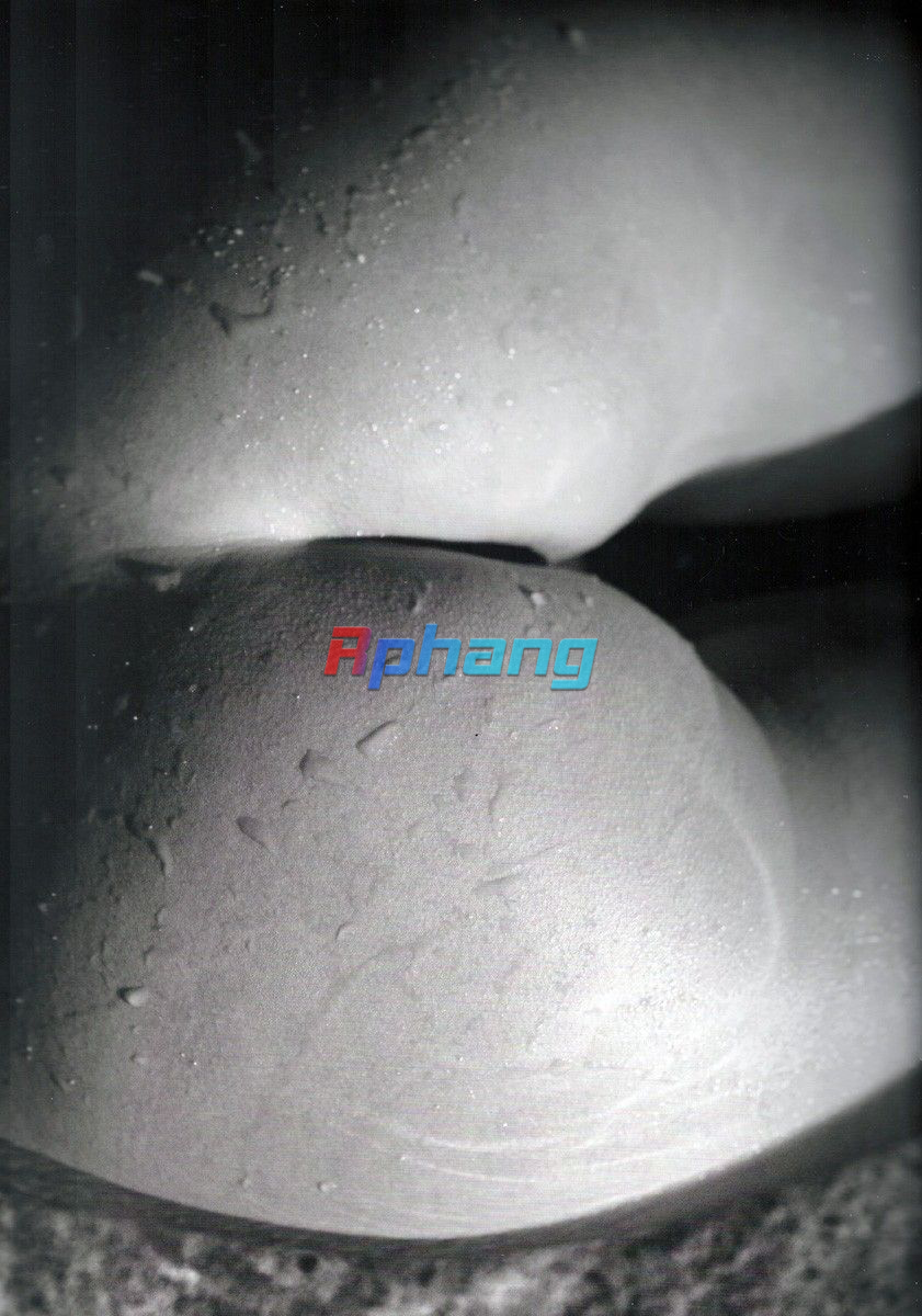 IMG_2203.png