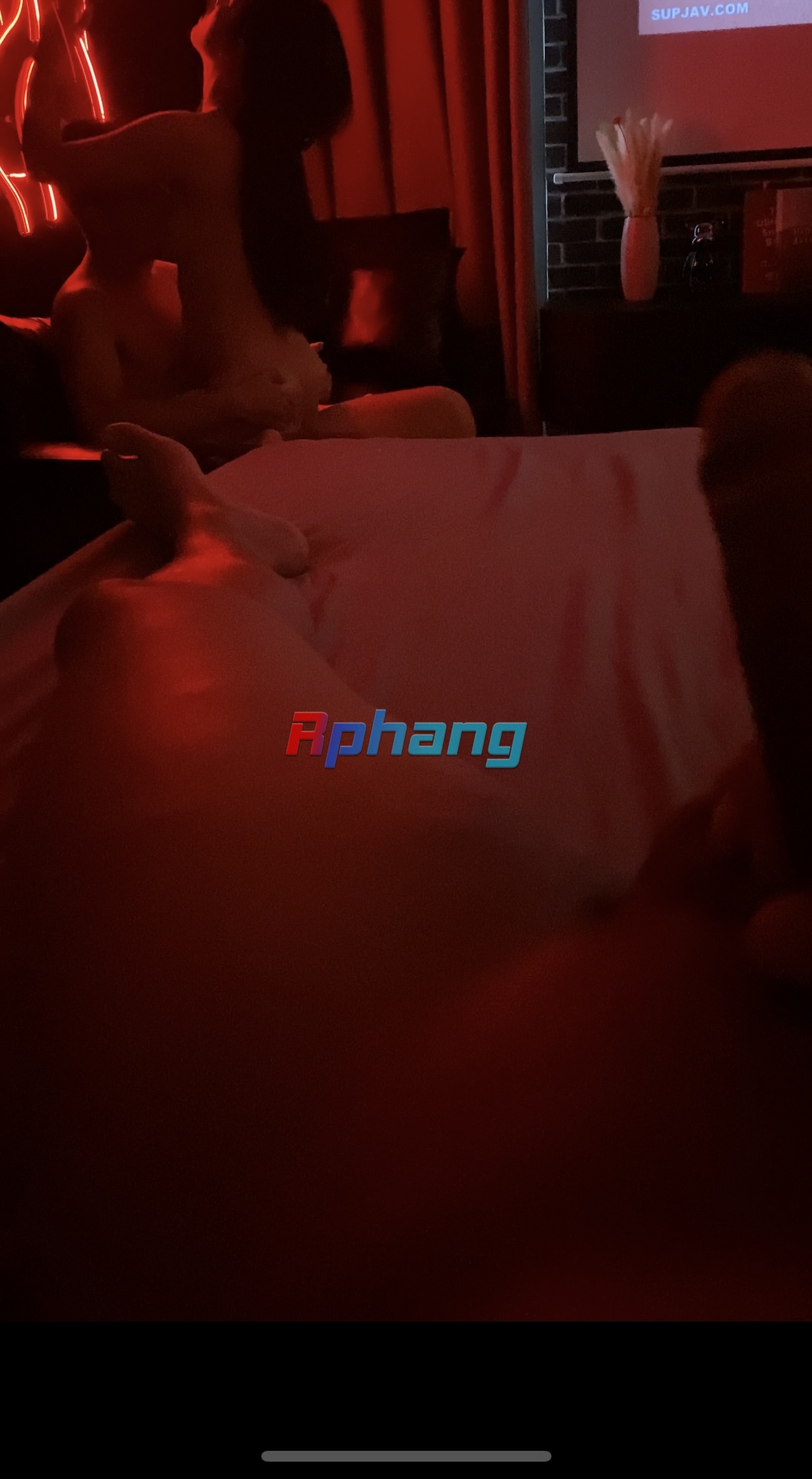 IMG_3233.jpeg