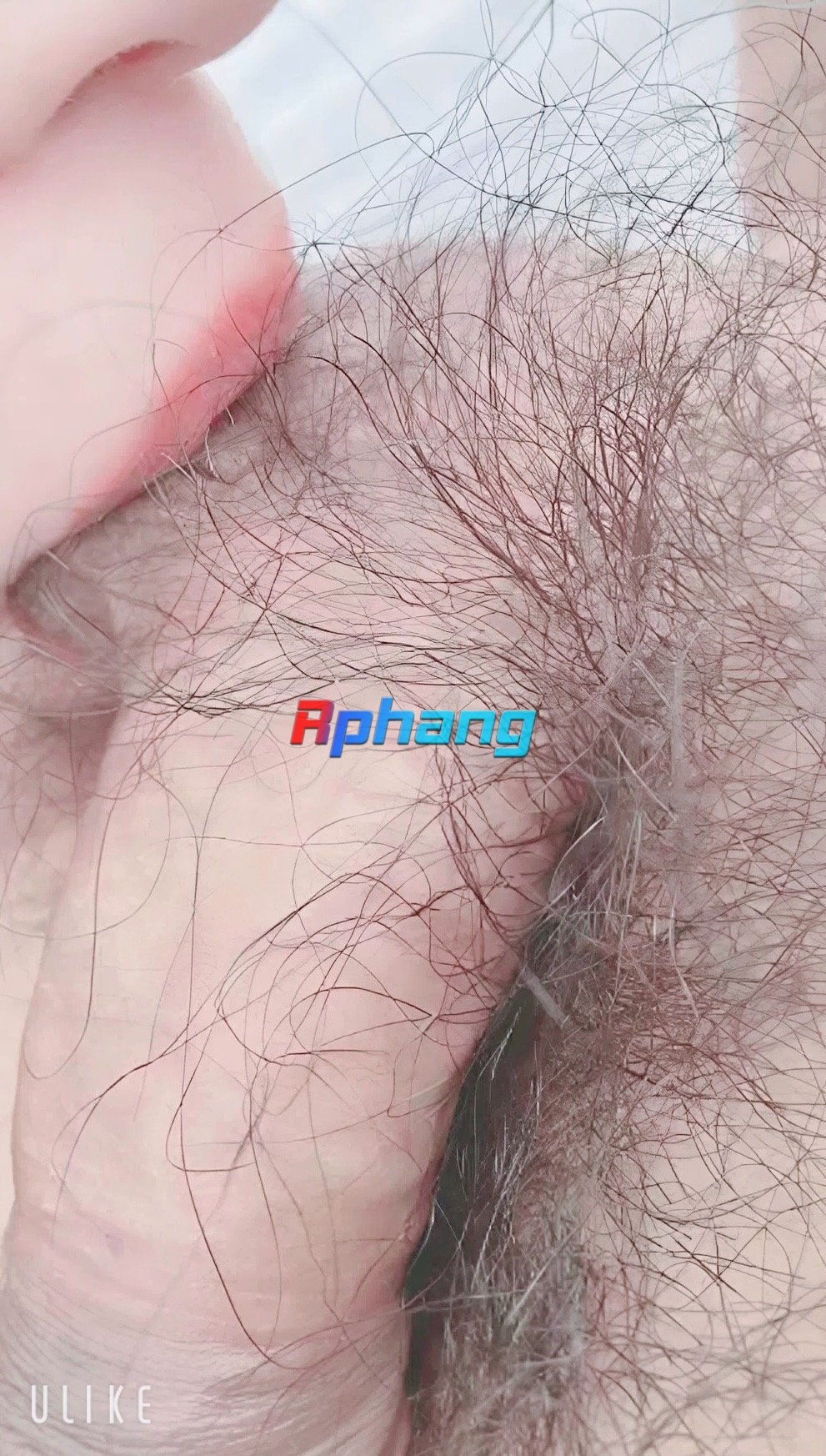 1752137182623.jpeg