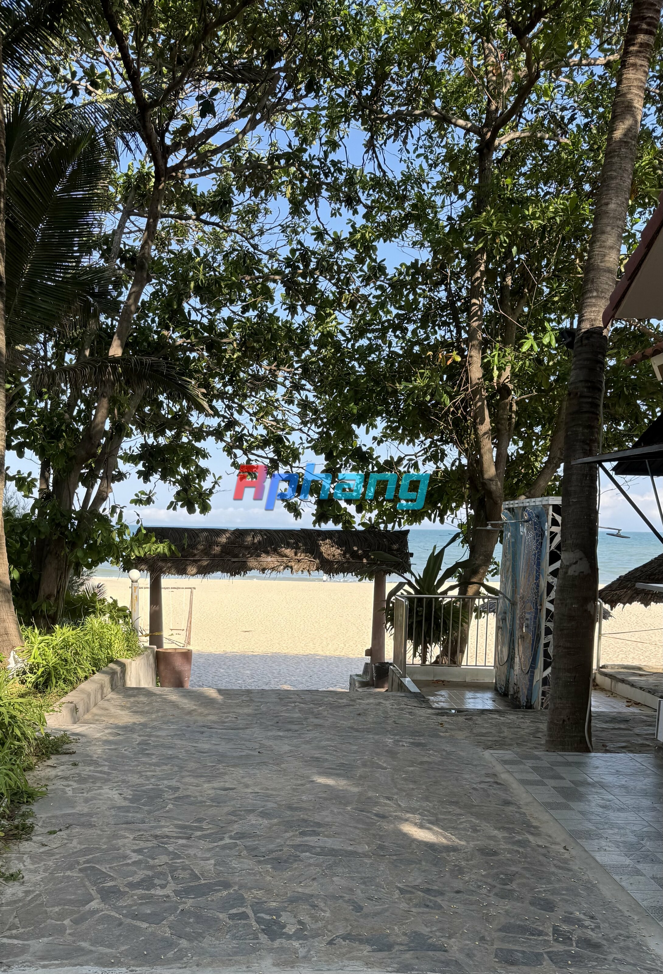 IMG_3134.jpeg
