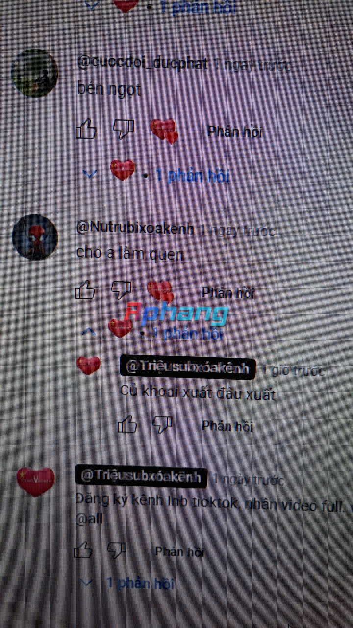 xuất.jpg