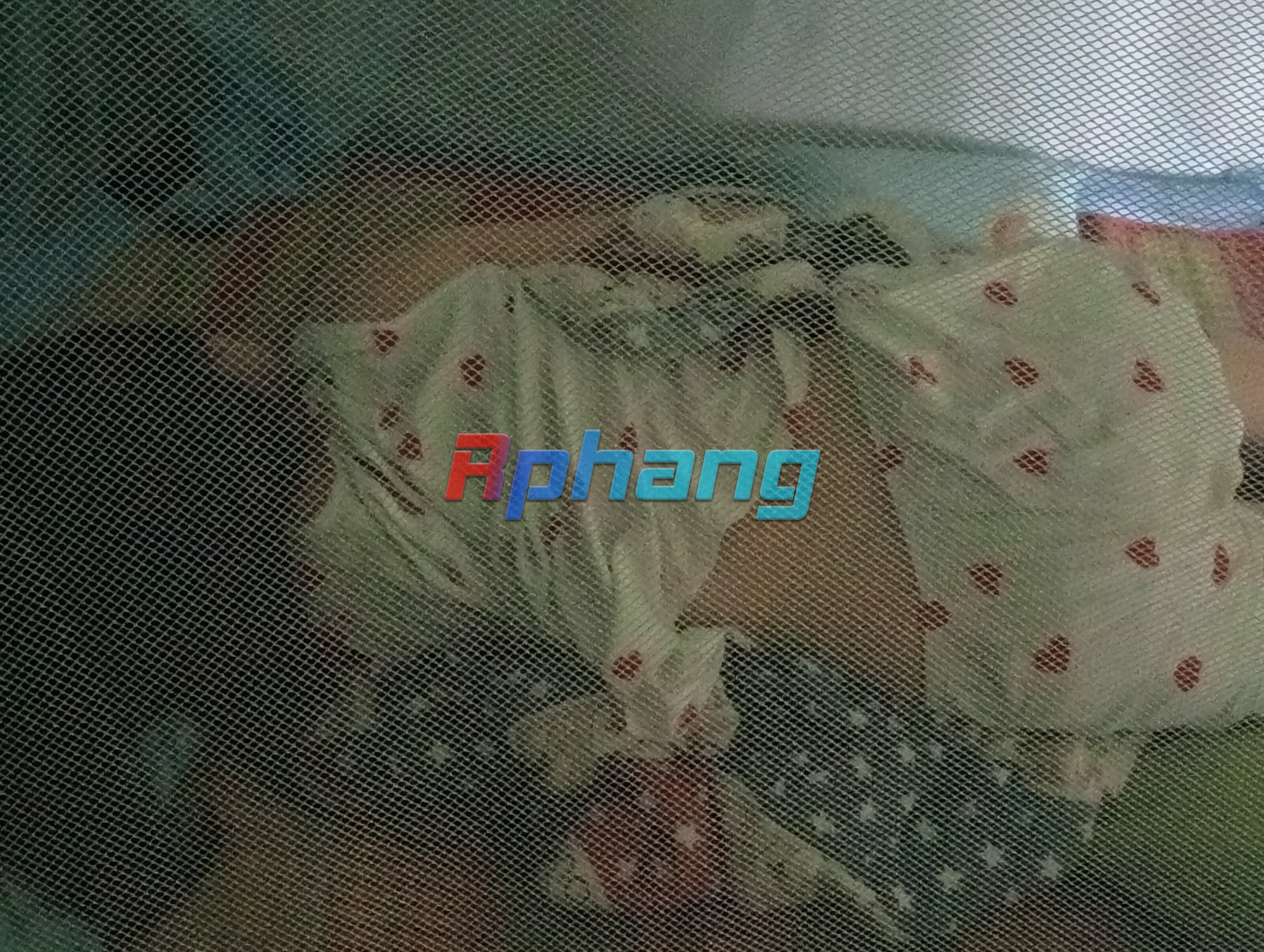 IMG20250813074435.jpg